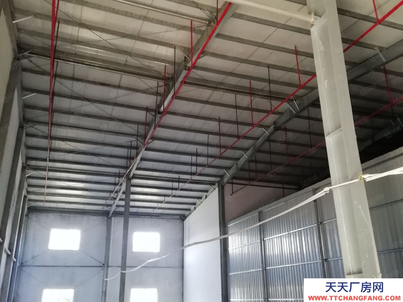 (出租) 江門恩平鋼架結構10米高一樓廠房招租，適合五金沖壓生產流水線