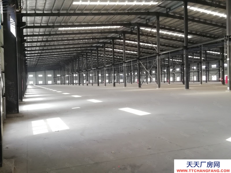 (出租) 江門恩平市鋼架結構廠房招商，適合多種行業