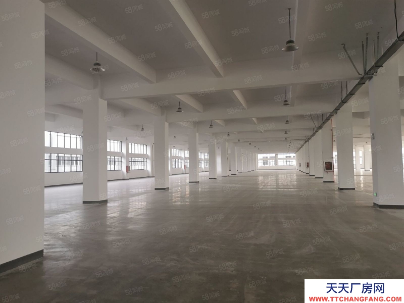 (出售) 出售吳興區屋美價廉，獨門獨院廠房，10畝地