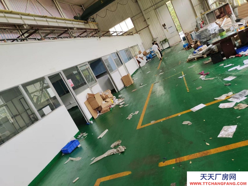 高新西區廠房出租~西芯大道26號廠房出租