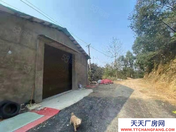 郴州市蘇仙區 潘家灣附近房東自建標準廠房倉庫優價出租可分租