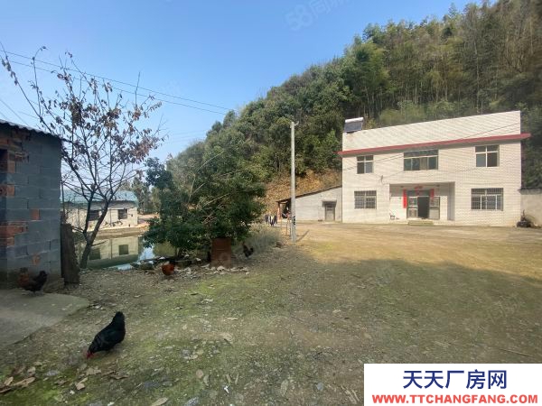 郴州市蘇仙區(qū) 潘家灣附近房東自建標(biāo)準(zhǔn)廠房倉庫優(yōu)價(jià)出租可分租