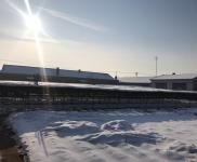 (出售) 出租出售寧江江南2000平自家農村房院 非誠勿擾