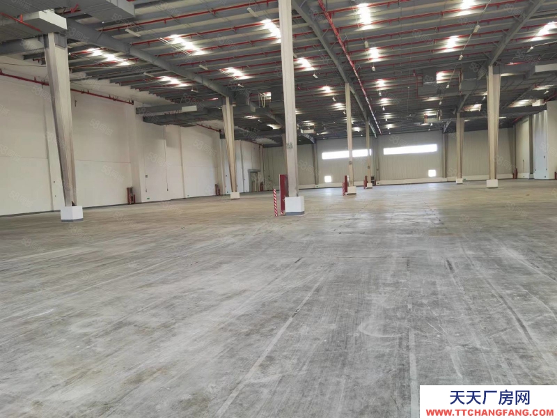 (出租) 鐘管2500方單層鋼結構廠房出租價格18