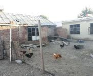 (出售) 白城四中北大面積廠房—急出售出租歡迎感興趣咨詢