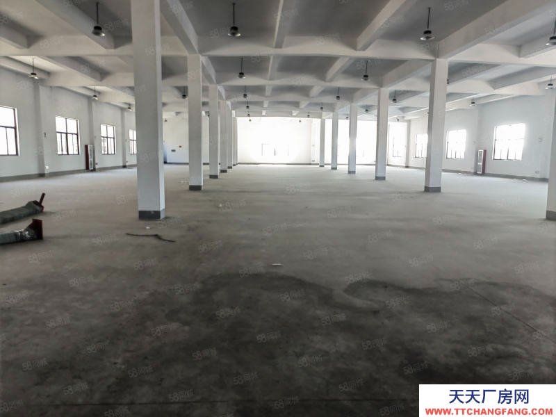 (出租) 房東直租 新建廠房 樓上樓下4420平 超大貨梯