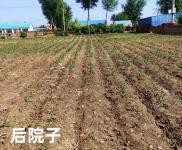 (出售) 打米廠客源穩定。三間平房拎設施齊全拎包入住。5晌地使用經營權