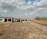 (出售) 出售白城自家農場，通榆興隆山