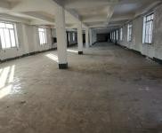 (出租) 延吉可做加工廠，汽車維修，辦公室，倉庫