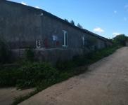 (出售) 急售農(nóng)村房屋和養(yǎng)豬場(chǎng)，位于朝陽川三峰5隊(duì)，共1000平米多