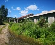 (出售) 急售農(nóng)村房屋和養(yǎng)豬場(chǎng)，位于朝陽川三峰5隊(duì)，共1000平米多