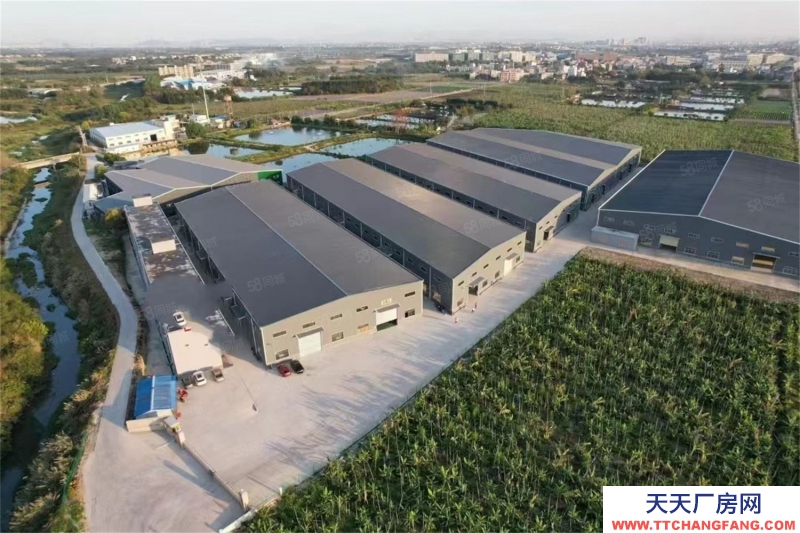 (出租) 惠州水口十米鋼構廠房低價出租重工業(yè)可進遠離居民區(qū)1000平起分租