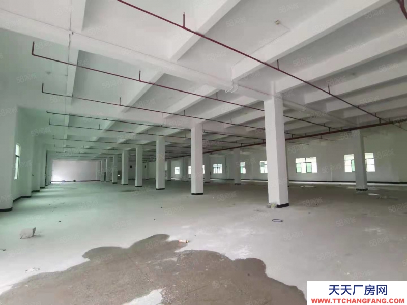 (出租) 馬安鎮新樂工業區標準廠房3層分租共5250平出租空地大可分