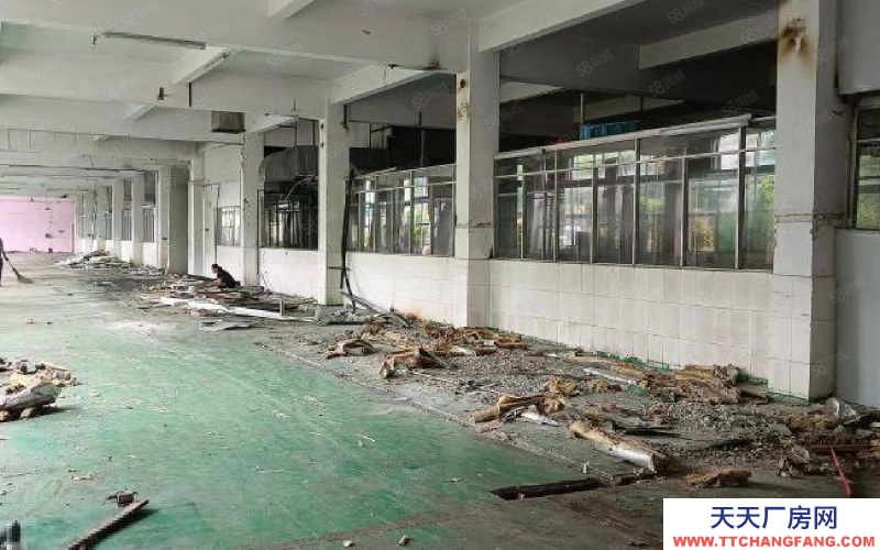 (出租) 三棟鎮葉挺大道 花園式1.3萬平獨院廠房出租 可分租