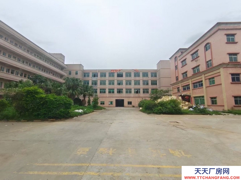 (出租) 水口獨院10000方廠房辦公宿舍招租 位置好 易招工