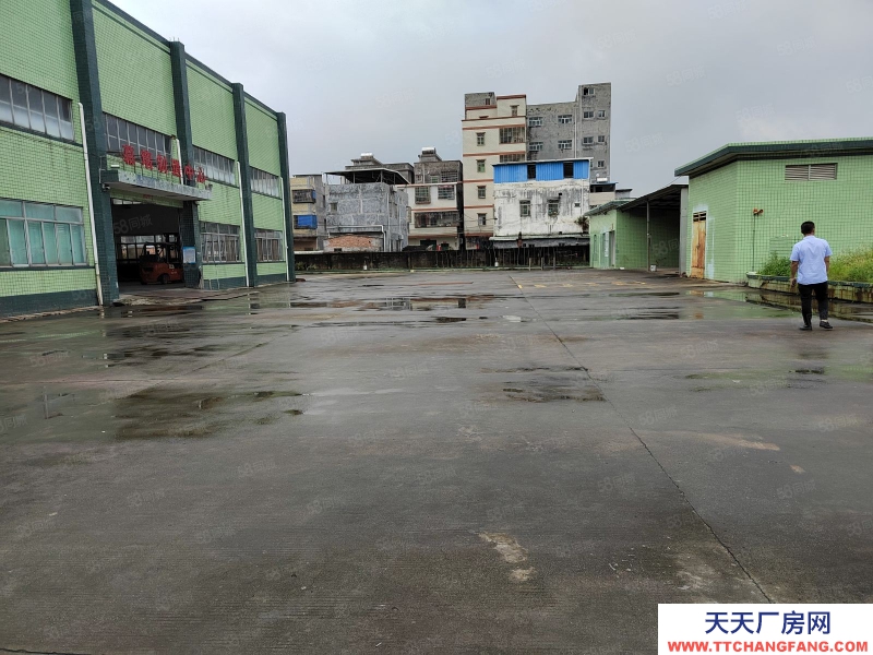 (出租) 惠州惠陽區工業園紅本鋼構廠房空地一比一獨院出租