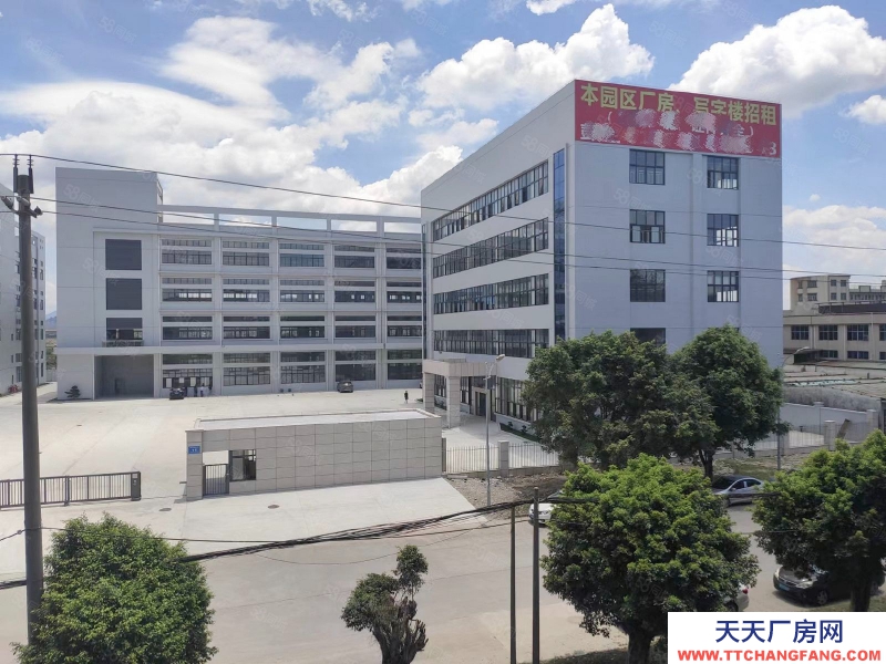 (出租) 石灣高新園區低價倉庫廠房出租30000平，大小可分租可辦環評