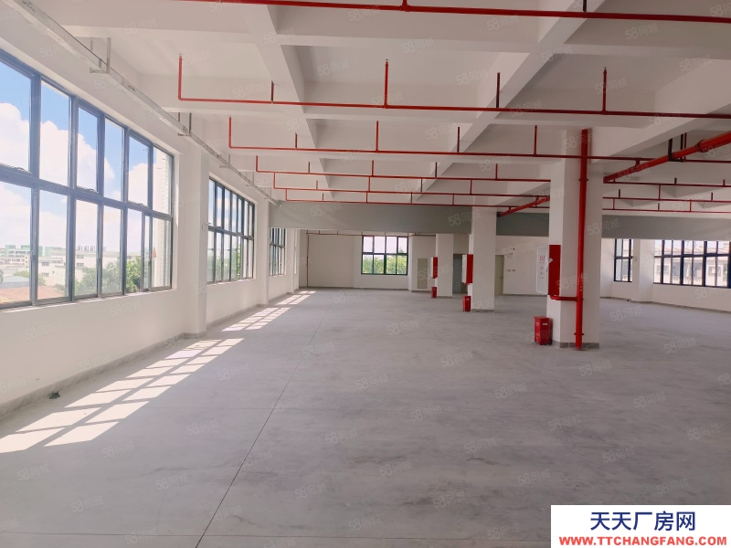 (出租) 石灣高新園區低價倉庫廠房出租30000平，大小可分租可辦環評