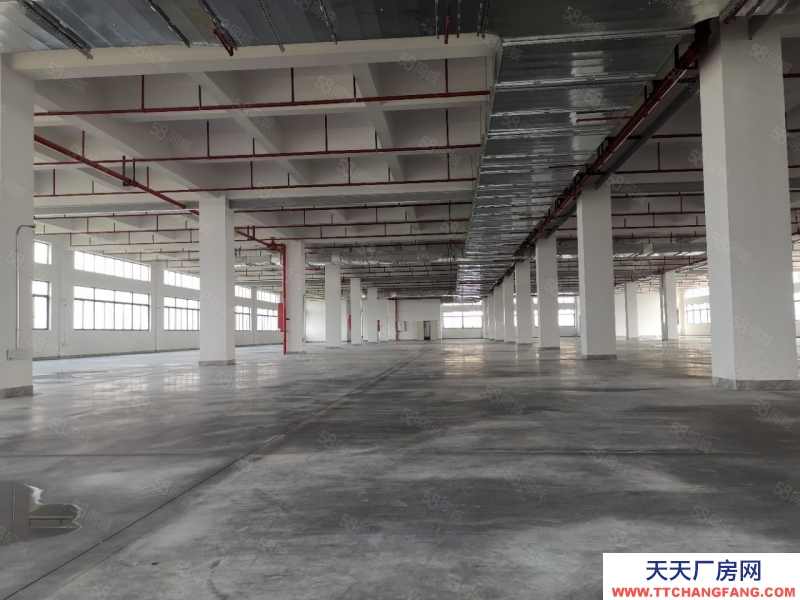 (出租) 石灣高新園區低價倉庫廠房出租30000平，大小可分租可辦環評