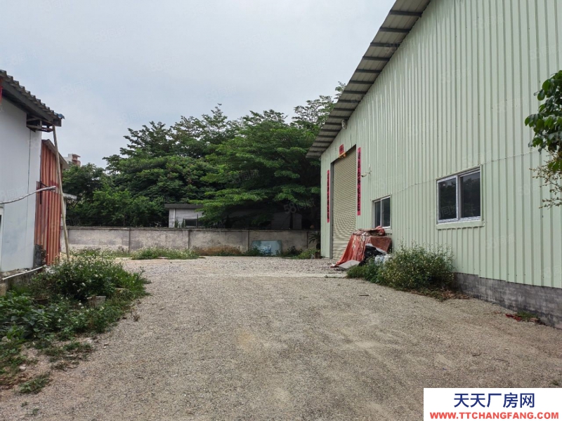 (出租) 龍溪獨院廠房倉庫底價出租1600平,交通方便可辦環評,空地大