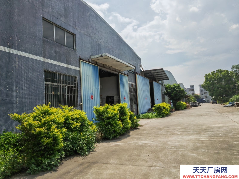 (出租) 惠州博羅新出超大空地單一層廠房15000空地15000，價格超低