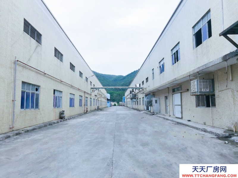 (出租) 惠州博羅義和國道邊上鋼結構廠房出租原房東無公攤實際面積可做污染行業