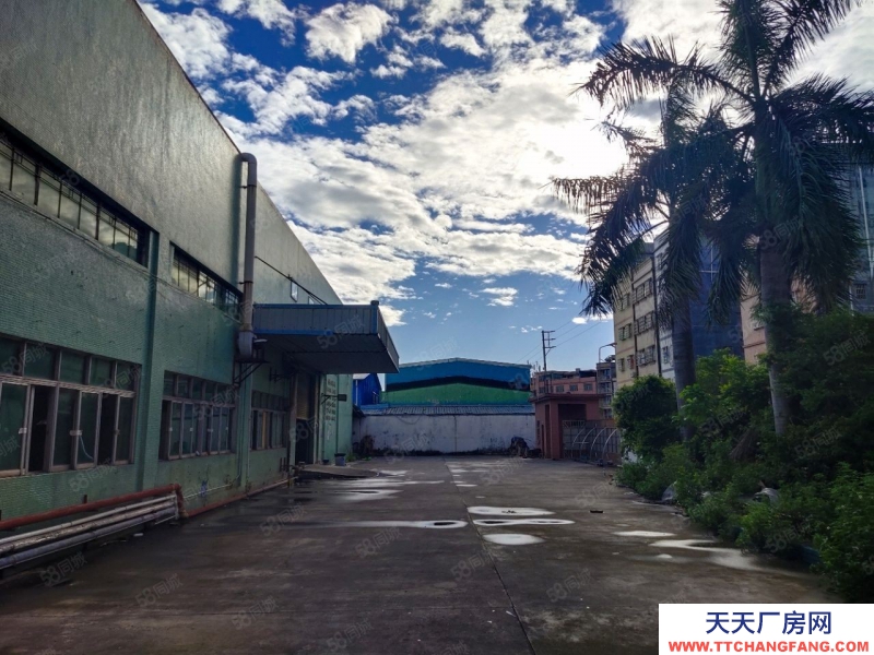 (出租) 惠州博羅園洲原房東獨院廠房出租5800方,現(xiàn)成裝修水電齊全,可分租!