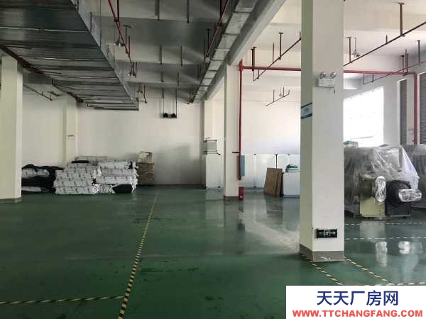 懷化市中方區(qū) 出租懷化高新區(qū)標(biāo)準(zhǔn)化廠房