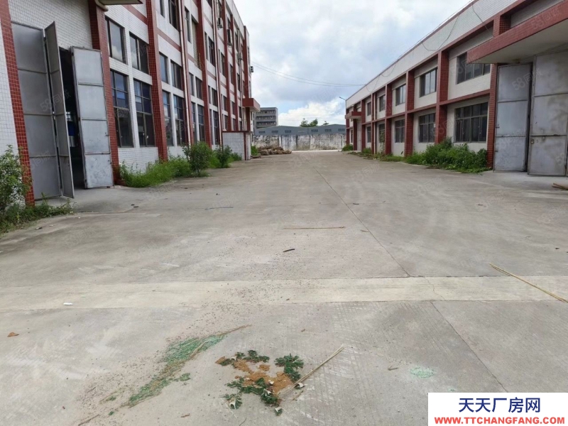 (出租) 惠州博羅石灣獨院單一層加標準廠房4900平，現成裝修