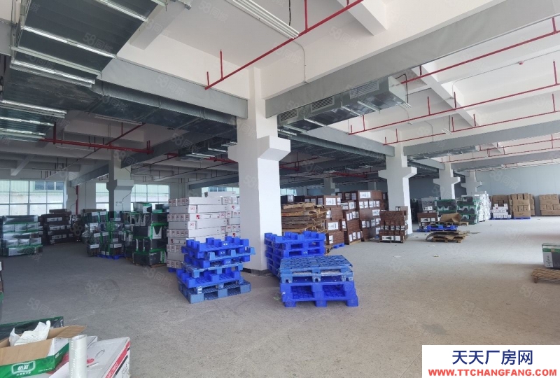 (出租) 惠州博羅縣原房東廠房五層15000平，單層3千平，宿舍三千平