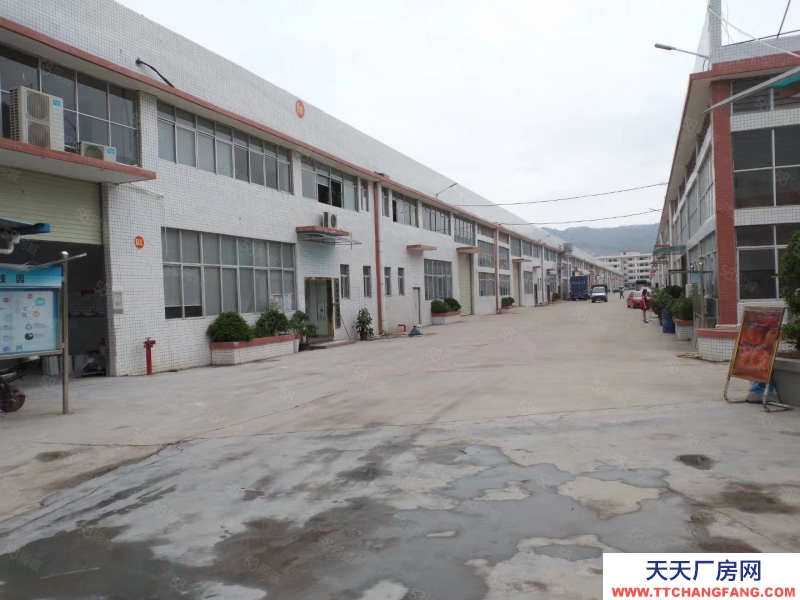 (出租) 惠州市博羅縣市石灣鎮(zhèn)大型工業(yè)園鋼構(gòu)廠房招租適合各類生產(chǎn)加工