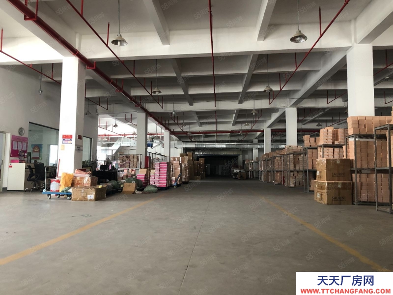 (出租) 惠州惠東大嶺原房東獨院獨棟工本低價廠房出租自帶抽立塑膠環(huán)評可分租適合大型機加工