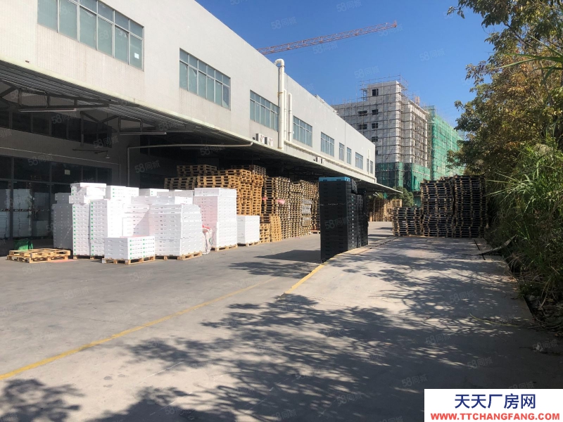 (出租) 惠州惠東大嶺原房東獨院獨棟工本低價廠房出租自帶抽立塑膠環評可分租適合大型機加工