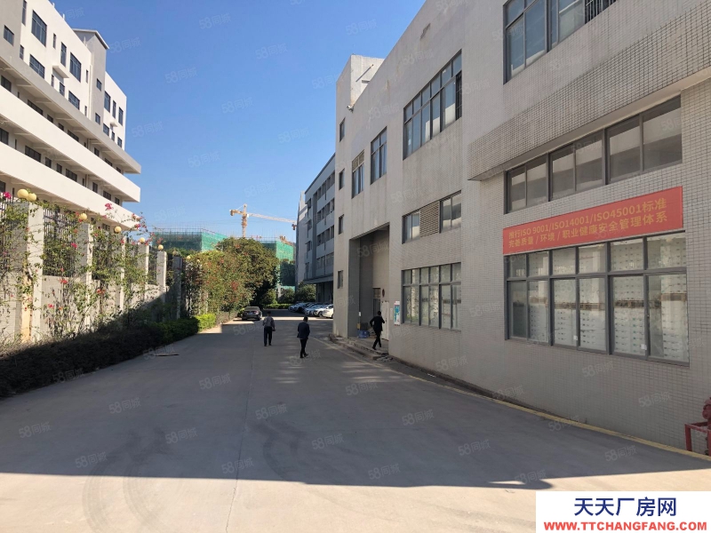 (出租) 惠州惠東大嶺原房東獨院獨棟工本低價廠房出租自帶抽立塑膠環評可分租適合大型機加工