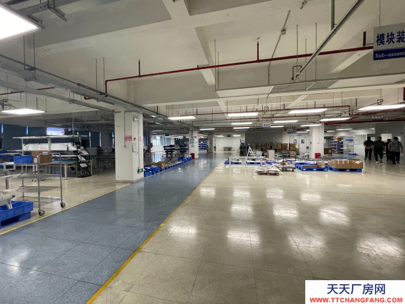 (出租) 惠州惠東臨深區(qū)園區(qū)紅本廠房倉庫帶裝修形象便利好配套齊全交通適合電商辦公