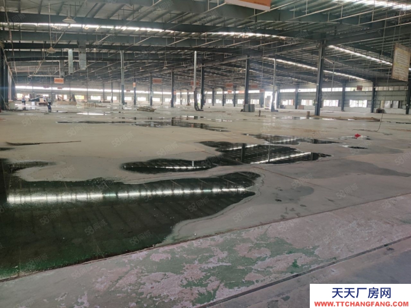 (出租) 惠州惠東鋼構廠房出租,可分租,滴水9米!原房東實際面積出租