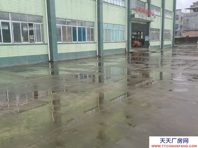 (出租) 惠州惠陽區(qū)新圩長布工業(yè)獨院鋼構3500平米廠房倉庫出租適合重工業(yè)