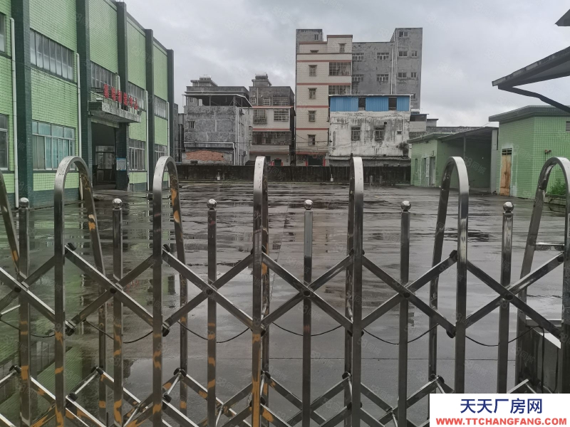 (出租) 惠州惠陽區(qū)新圩長布工業(yè)獨院鋼構3500平米廠房倉庫出租適合重工業(yè)