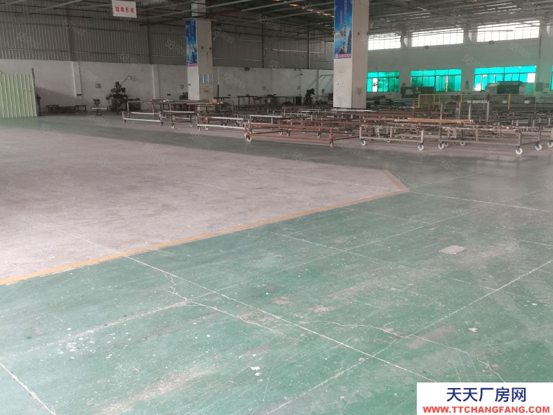 (出租) 惠州惠陽區(qū)新圩長布工業(yè)獨院鋼構3500平米廠房倉庫出租適合重工業(yè)