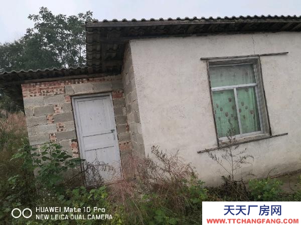 懷化市芷江區(qū)廠房出售  養(yǎng)豬場地，水電住宿廚房等齊全