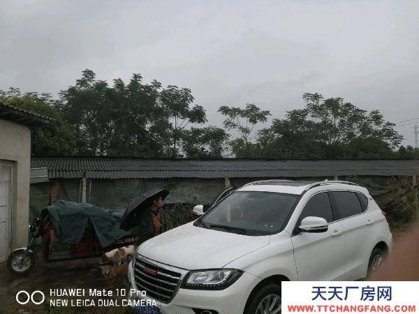 懷化市芷江區(qū)廠房出售  養(yǎng)豬場地，水電住宿廚房等齊全