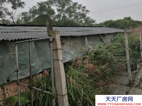懷化市芷江區(qū)廠房出售  養(yǎng)豬場地，水電住宿廚房等齊全