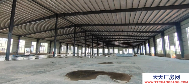 (出租) 惠州惠東11米鋼結構11500平方出租,1000平起分租