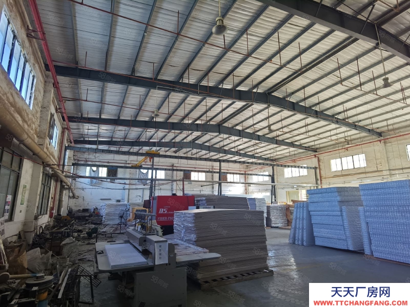 (出租) 惠州惠東縣白花國道旁獨棟滴水八米高鋼結構廠房3300平方低價出租