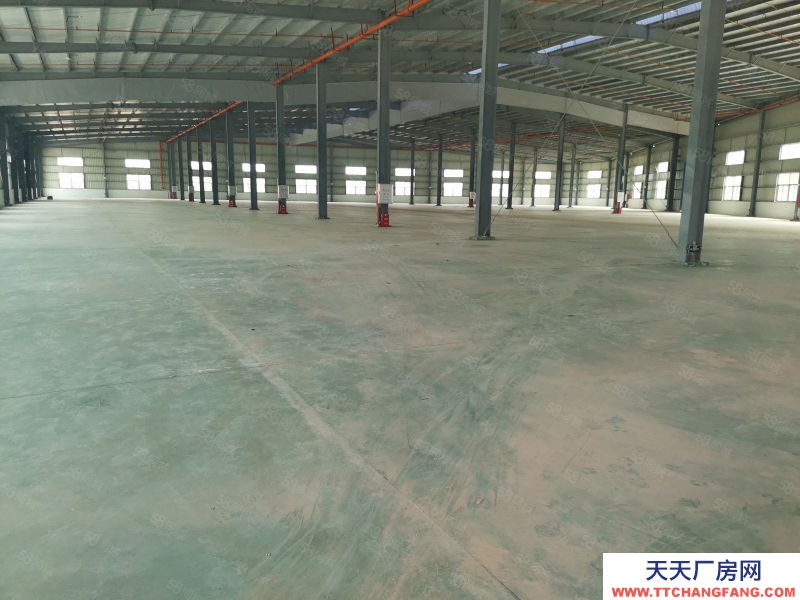 (出租) 惠州惠東白花原房東鋼構廠房低價招租