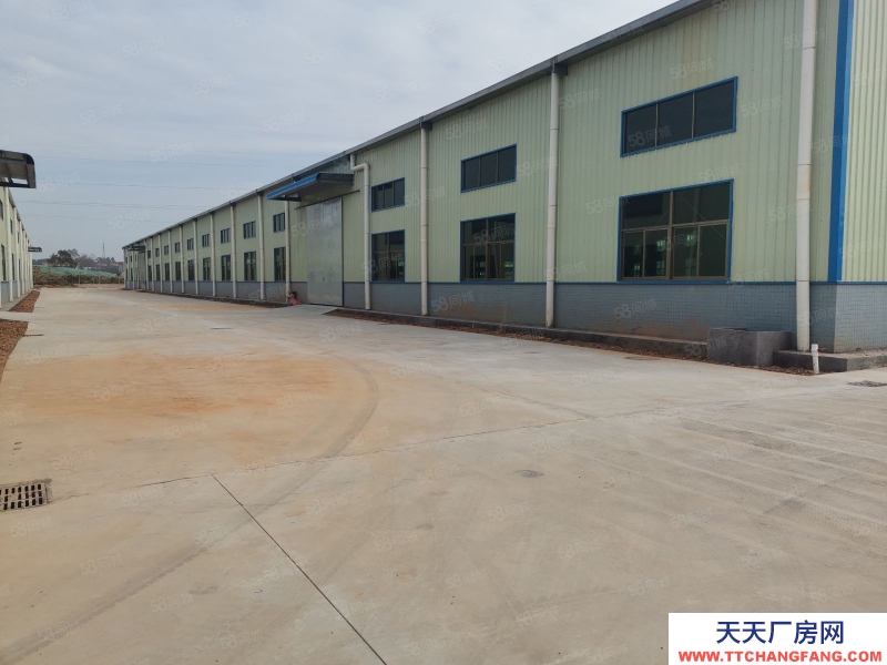 (出租) 惠州惠東白花原房東鋼構廠房低價招租