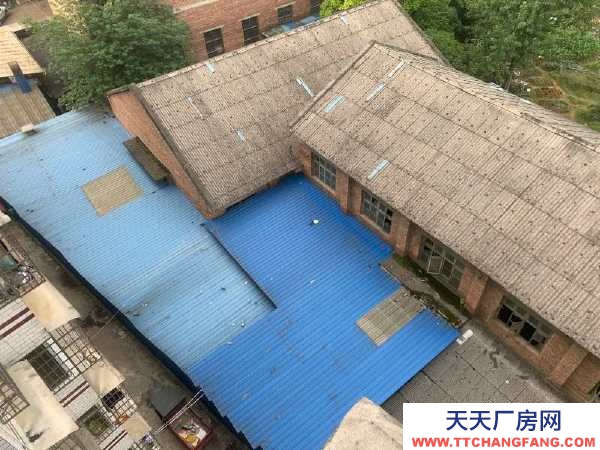 永州市冷水灘區廠房出租 鳳凰路與陶源路十字交叉路口地段