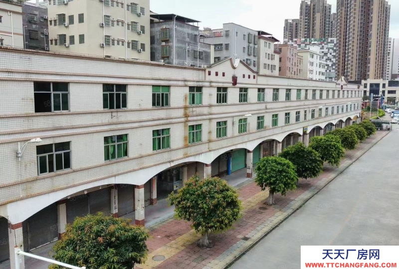 (出租) 惠州惠陽區(qū)低價大型成熟工業(yè)200000平米廠房出租