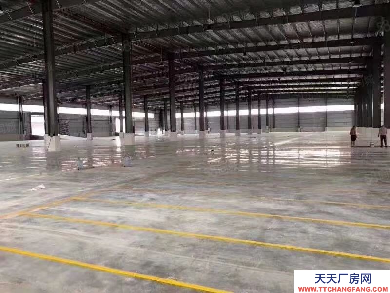 (出租) 惠州市惠東縣帶紅本鋼構廠房招租，500平米起分適合重工業