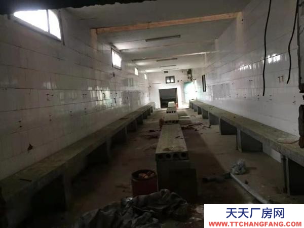 永州市冷水灘區廠房出租 水泥結構即可做倉庫又可以做廠房 占地3000多的平米。